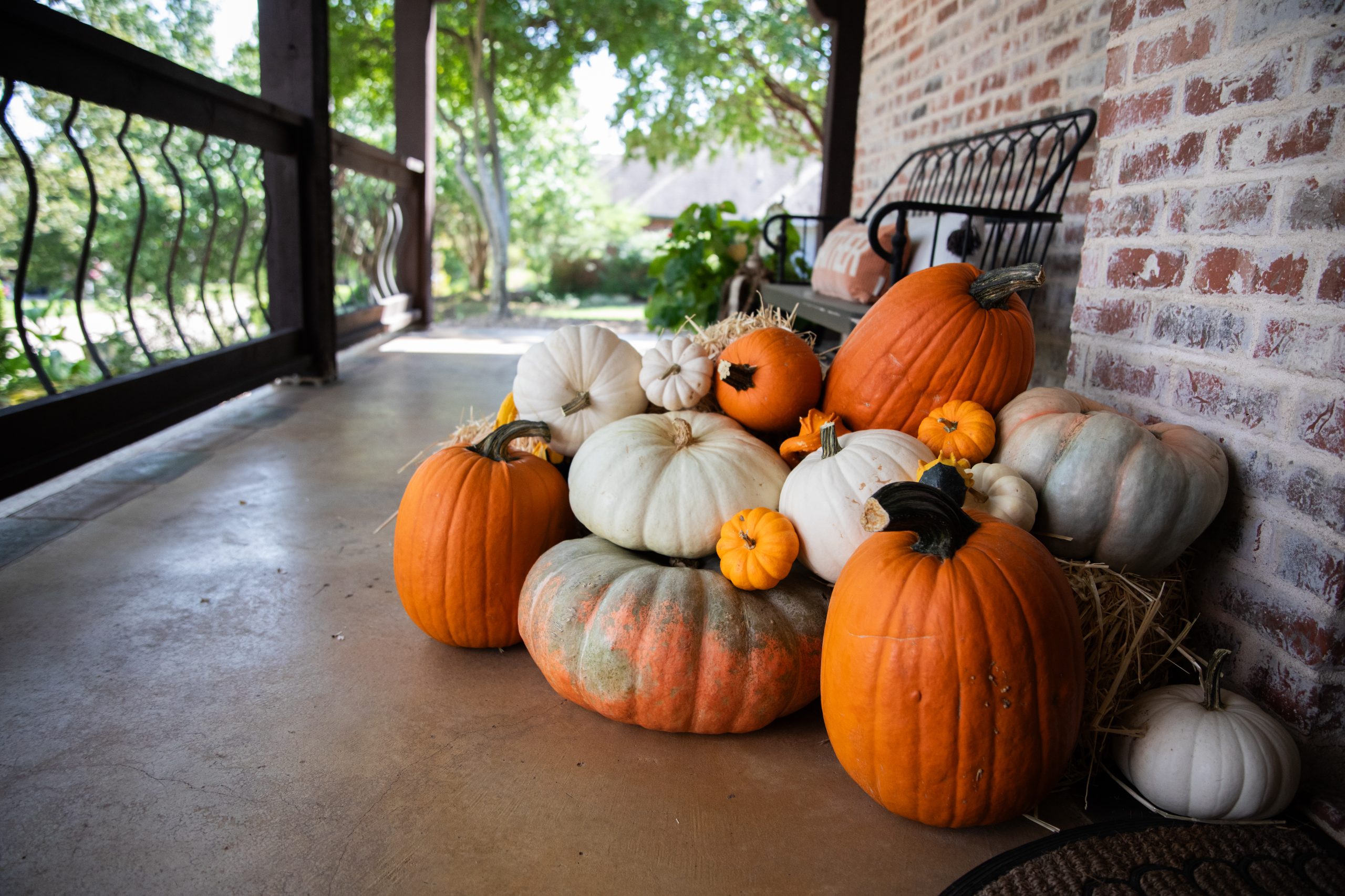 Package #4 - The Pumpkin Drop - Image 4
