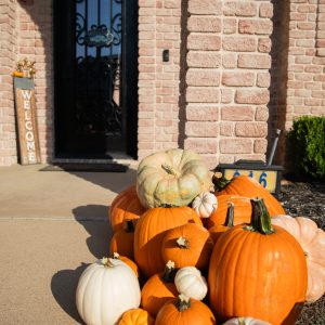 Package #4 - The Pumpkin Drop